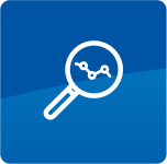 Magnifying Glass Icon