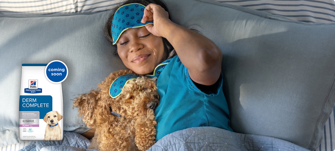 Dog attempts to catch a ball