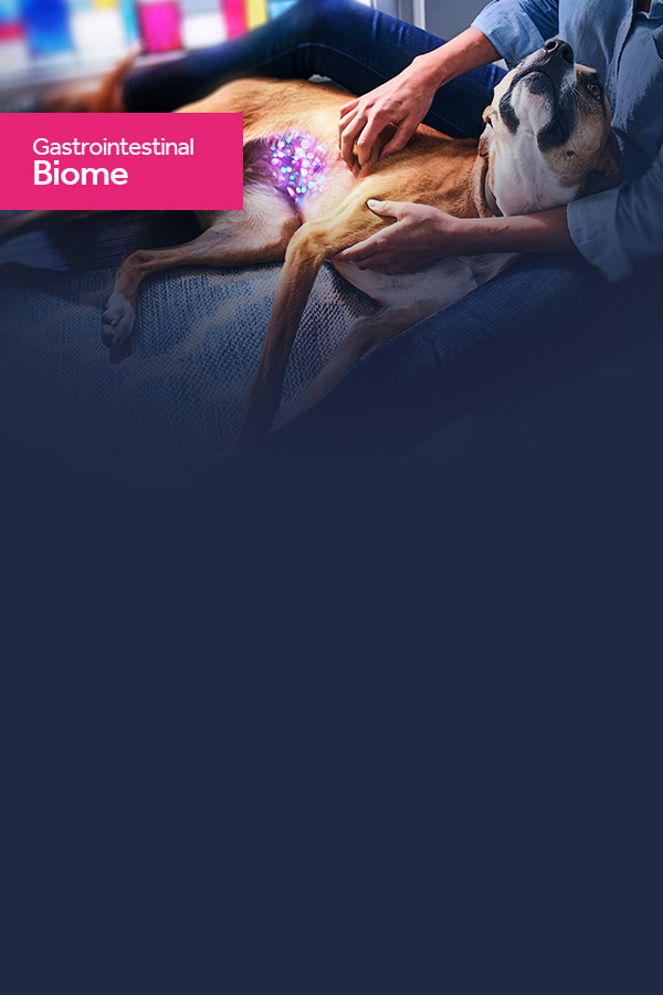 Gastrointestinal Biome Image