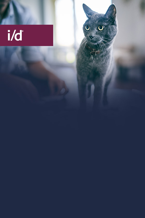 i/d Image Cat